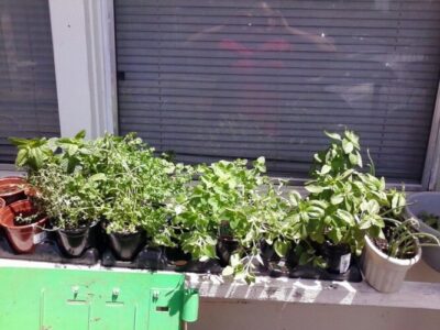 Suburban Self-Reliance is Possible Image